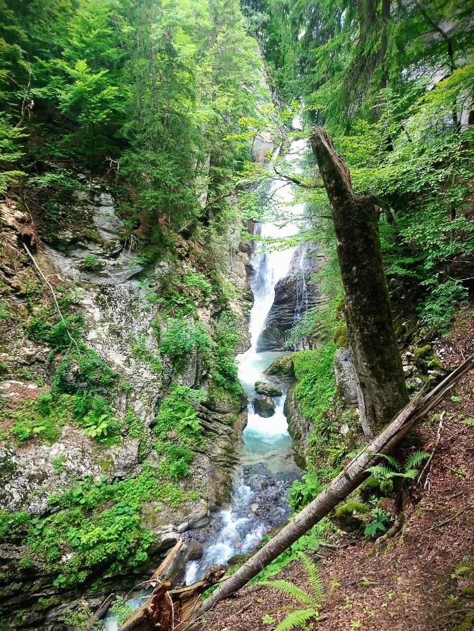 Lachat Appartement En Chalet Typique Le Grand-Bornand Εξωτερικό φωτογραφία