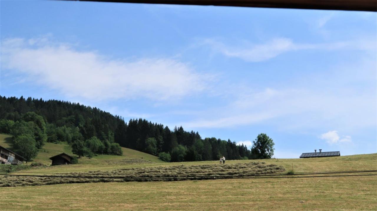 Lachat Appartement En Chalet Typique Le Grand-Bornand Εξωτερικό φωτογραφία