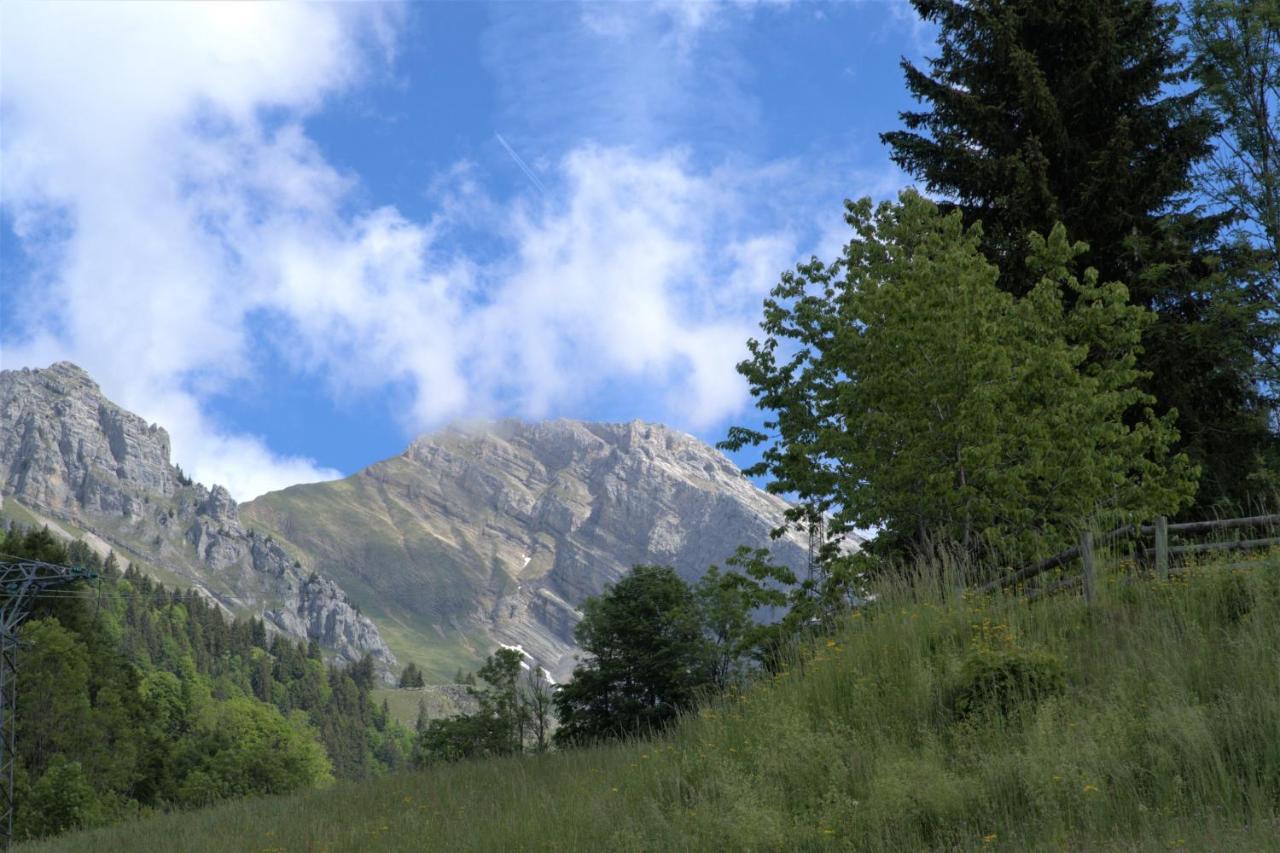 Lachat Appartement En Chalet Typique Le Grand-Bornand Εξωτερικό φωτογραφία