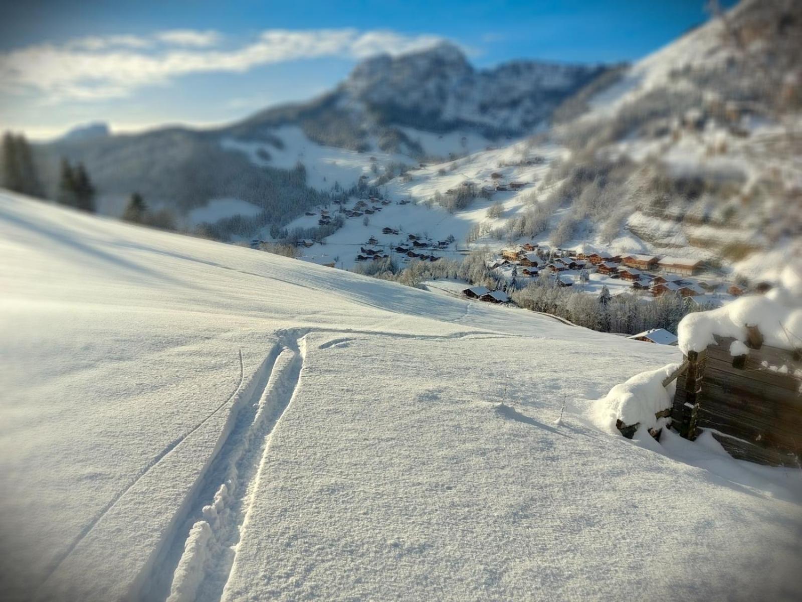 Lachat Appartement En Chalet Typique Le Grand-Bornand Εξωτερικό φωτογραφία